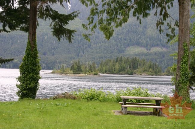 picnic2.jpg