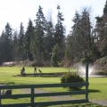 Golf Course