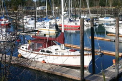 1saratoga4 004.jpg