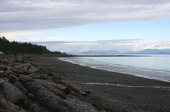 beach23.jpg