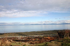 beach44.jpg