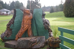 golf_course3.jpg