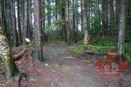 Hiking Trail