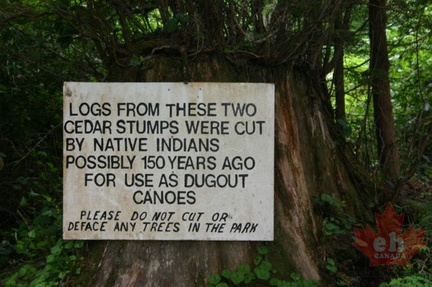 First Nation Canoes