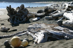 Driftwood and Buoys