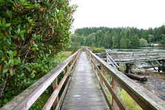 Bamfield Waterfront Boardwalk