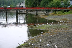 West Bamfield