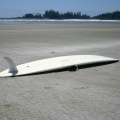 Surf Board