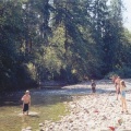Chemainus River (3402 visits) Swimming down by the river Chemainus River