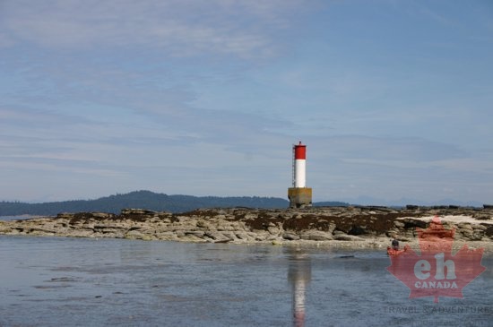 Beacon