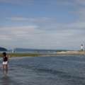 Waterfront Beachcombing