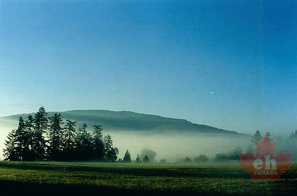 Misty Mornings