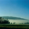 Misty Mornings