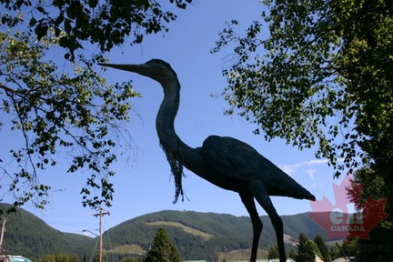 Blue Heron