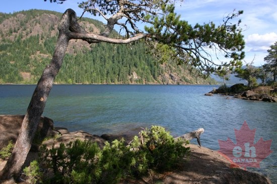 Cowichan Lake