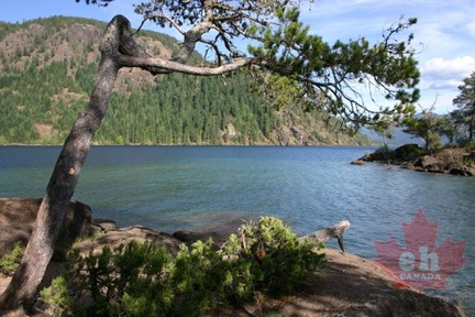 Cowichan Lake