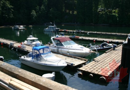 Boating (1240 visits) Boats in the local marina Boating