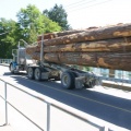 Logging Trucks