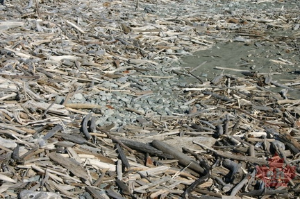 1DriftwoodFloor.jpg
