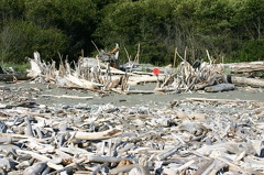 1FortDriftwood.jpg