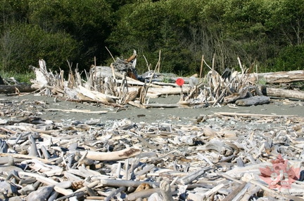 1FortDriftwood.jpg