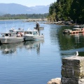 1SeagullEndingFishingDay.jpg