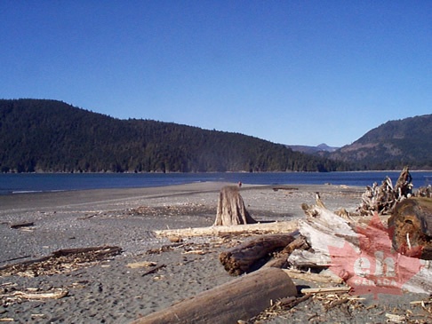 aai.jpg (1015 visits) aai.jpg