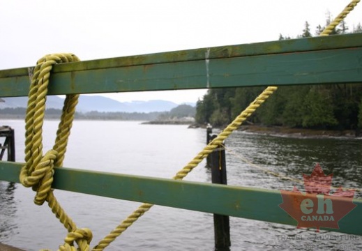 portrenfrew_marina 006.jpg