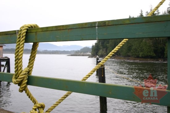 portrenfrew_marina 006.jpg