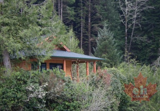 portrenfrew_marina 007.jpg