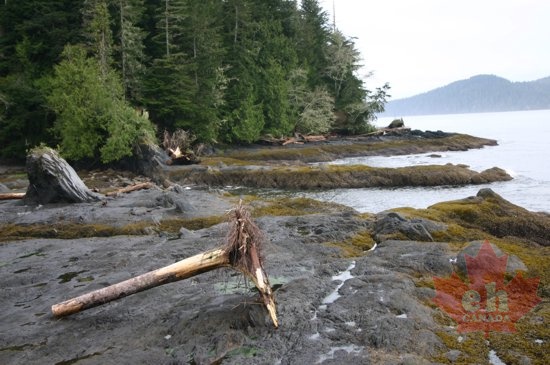 portrenfrew_marina 008.jpg (1087 visits) portrenfrew_marina 008.jpg