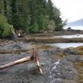 portrenfrew_marina 008.jpg (1078 visits) portrenfrew_marina 008.jpg
