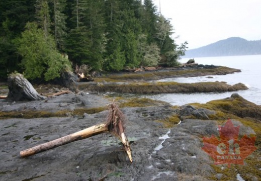 portrenfrew_marina 008.jpg