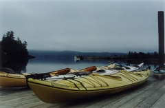 Sooke kayak tours