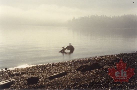 Sooke beach