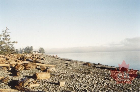 vancouver_island_beach.jpg
