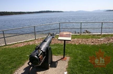 Gun