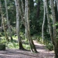 hollandcreektrail 001.jpg
