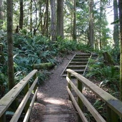 Holland Creek Trail