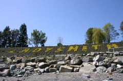 ladysmith.jpg