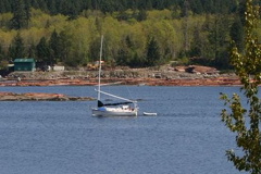 sailboat.jpg