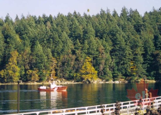 Coast Guard