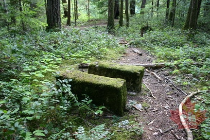 Hiking Trail