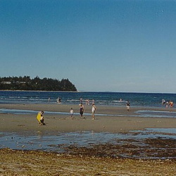 Community Park