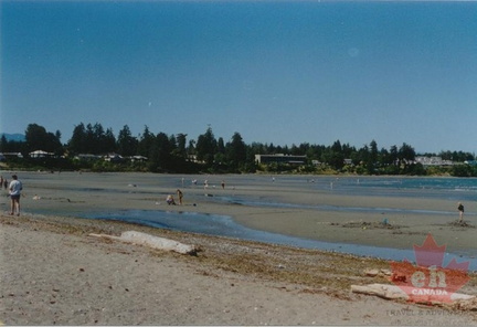 Waterfront Beach