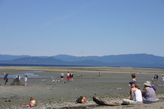 Low Low Tides