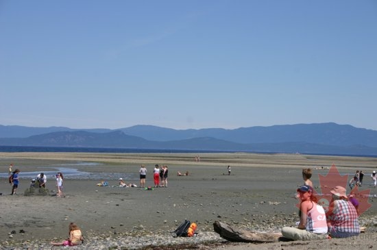 Low Low Tides