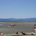 Low Low Tides
