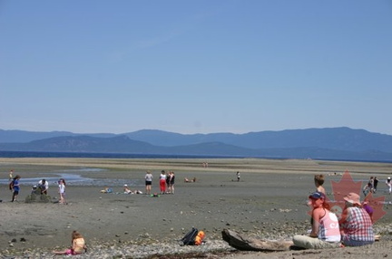 Low Low Tides