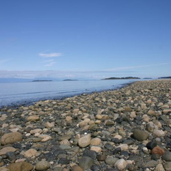 Rathtrevor Beach Provincial Park